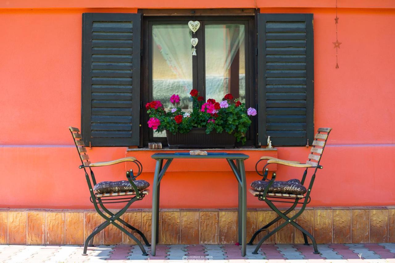 Sunset Cottage Braşov Eksteriør bilde